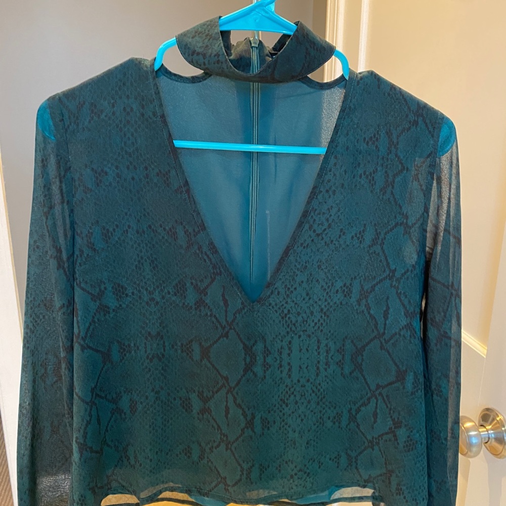 Deep V Sheer blouse